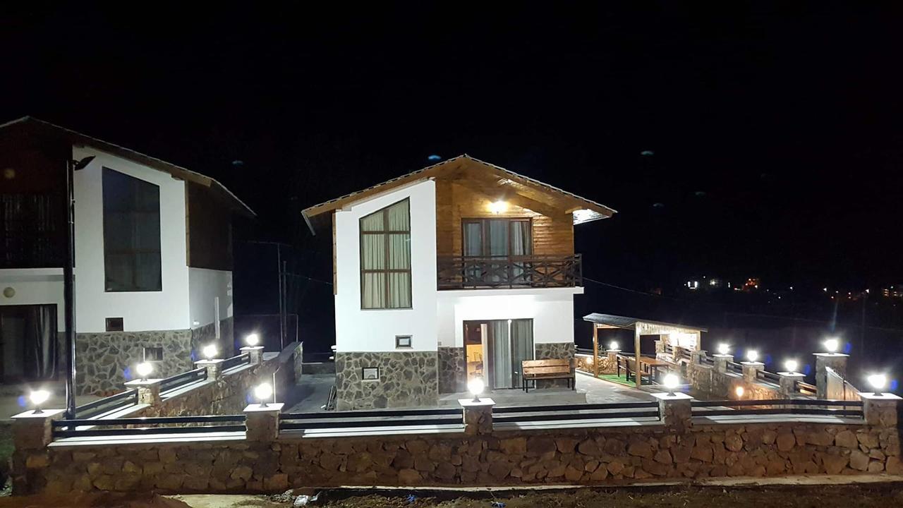 Villa In Mountains 巴库里阿尼 外观 照片