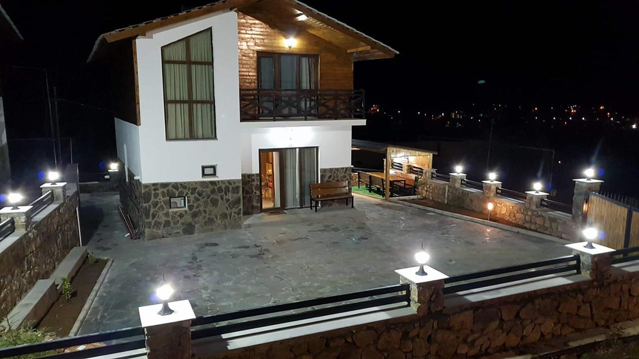 Villa In Mountains 巴库里阿尼 外观 照片