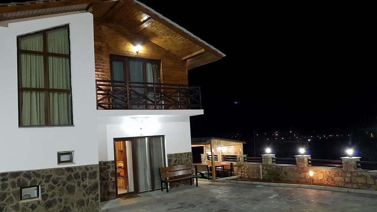 Villa In Mountains 巴库里阿尼 外观 照片