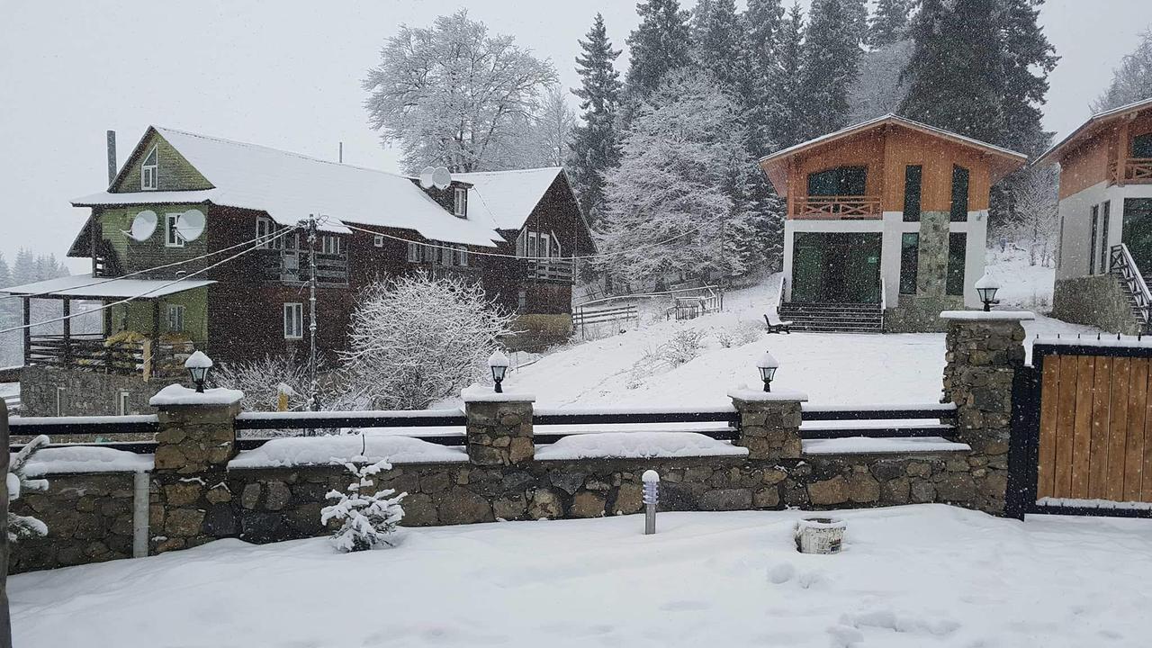 Villa In Mountains 巴库里阿尼 外观 照片