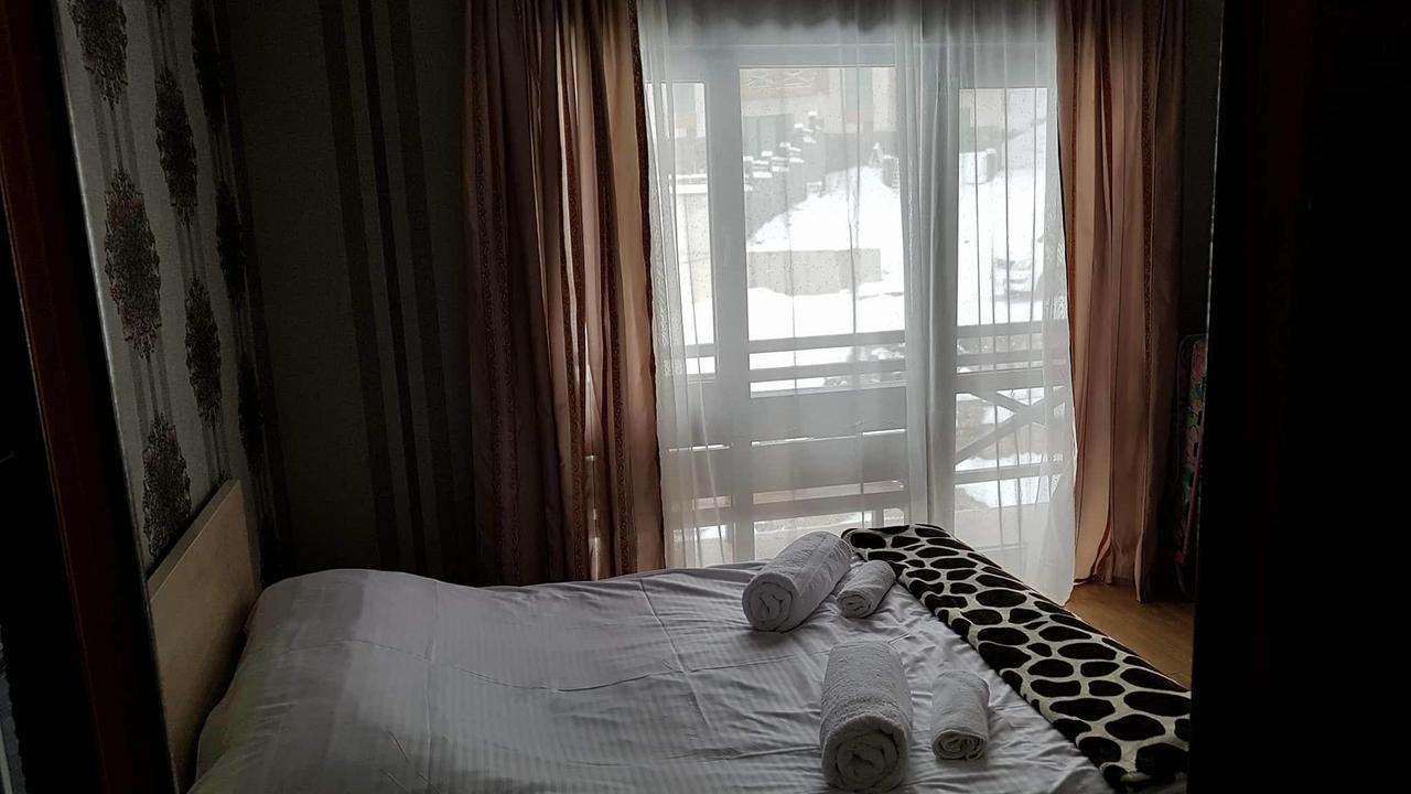 Villa In Mountains 巴库里阿尼 外观 照片