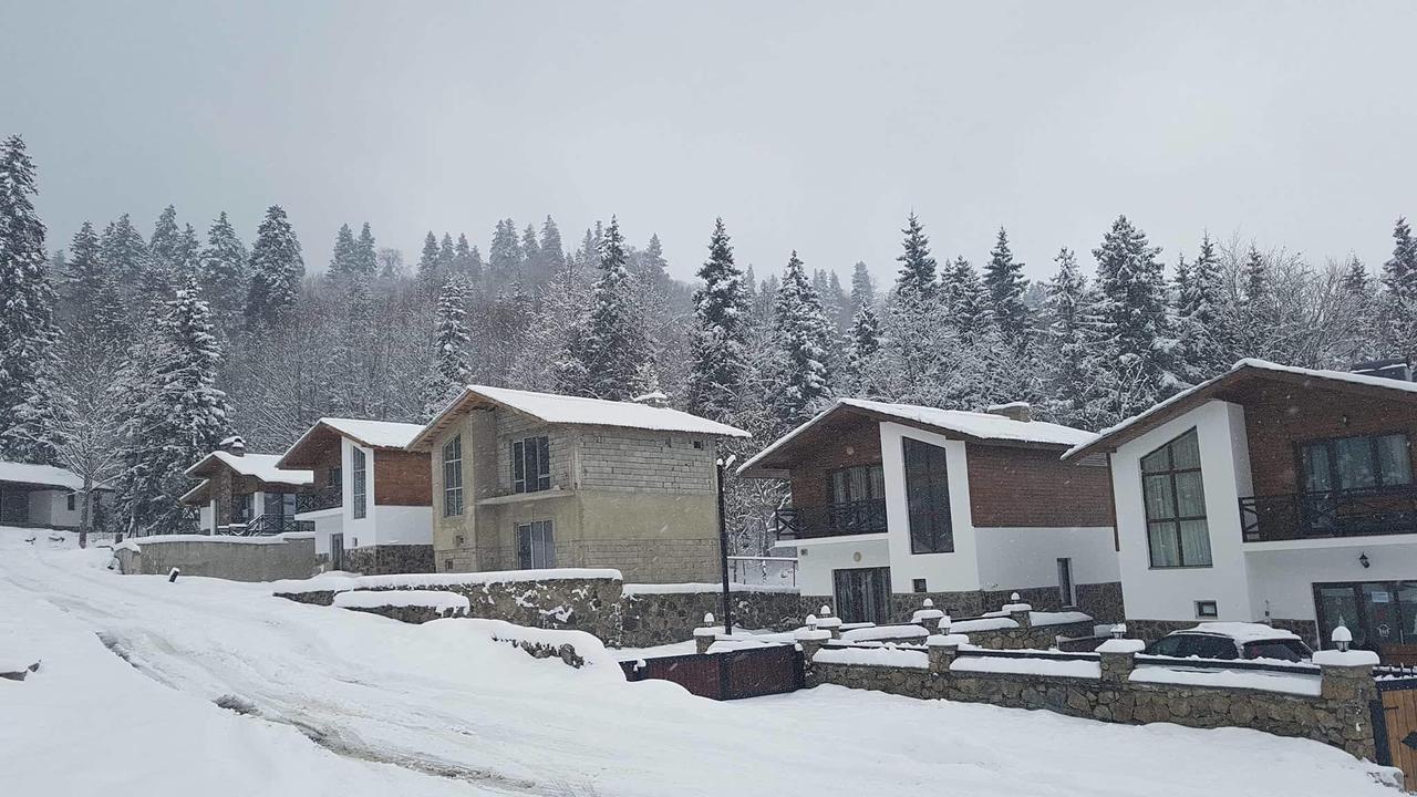Villa In Mountains 巴库里阿尼 外观 照片