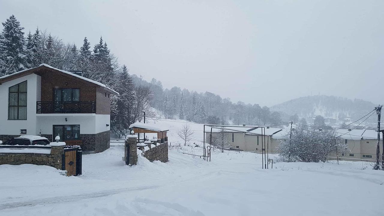 Villa In Mountains 巴库里阿尼 外观 照片