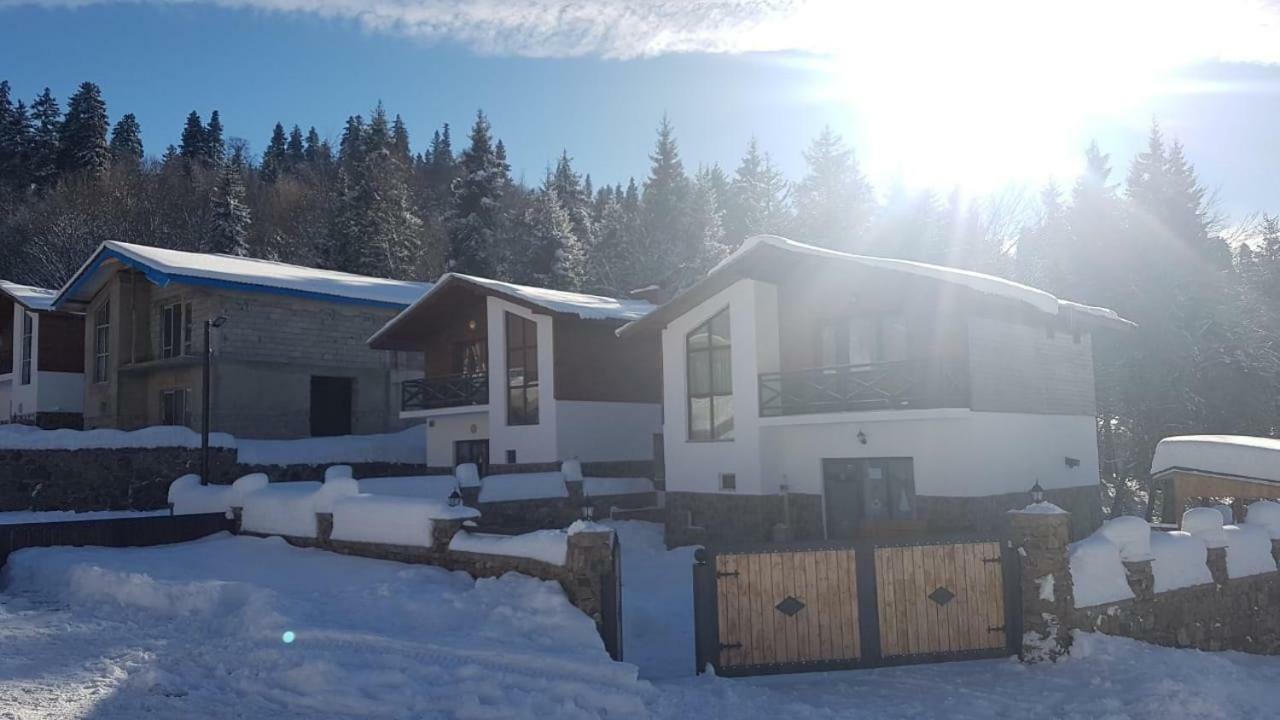 Villa In Mountains 巴库里阿尼 外观 照片