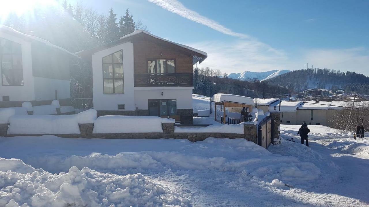 Villa In Mountains 巴库里阿尼 外观 照片